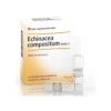 GUNA Echinacea Compositum Forte S 10 Fiale -Eucerin Salva Echinacea Compositum Forte S 10 Fiale