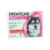 Frontline Tri-act Antiparassitario Cani Da 40 A 60 Kg 3 Pipette Da 6 Ml -Eucerin Salva Frontline Tri act Antiparassitario Cani da 40 a 60 kg 3 pipette da 6 ml